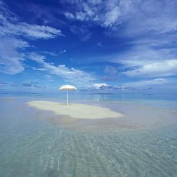 ����, �����-���������, 47 ���