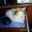 ���� ������, �������, 71 ��� - ��������� 25 ������� 2012