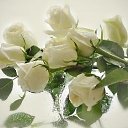  ,  -  7  2012   !!!!!!!!!!!!!!!