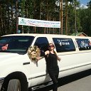 ���� �����, ����������, 44 ���� - ��������� 20 �������� 2011