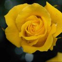 ���� Val, ������, 51 ��� - ��������� 1 ������ 2011 � ������ �������