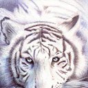 ���� �����, ���������, 28 ��� - ��������� 19 ����� 2010 � ������ �������