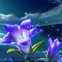 ���� Vladimir, ����� - ��������� 15 ������� 2012 � ������ ���� ����������