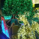 ���� ��������, ���������� - ��������� 16 ������� 2011