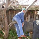 ���� ������, ��������, 57 ��� - ��������� 8 ������� 2011 � ������ ���� ����������