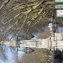 ���� ������, ���, 50 ��� - ��������� 23 ���� 2010 � ������ ���� ����������