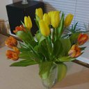 ���� ����, ��������, 33 ���� - ��������� 26 �������� 2011 � ������ �������