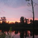  ,  -  18  2011          .