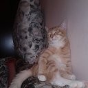 �� ���� �� ������... �� ������� ����� ��� ������������