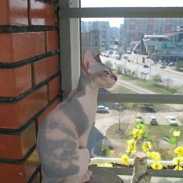 �������