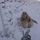 ������� ������. �� ������� ���� ����������