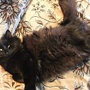 ���� �������, ���������, 56 ��� - ��������� 9 ������� 2011