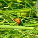 ���� ���� ������ ����, ���� - ��������� 19 ����� 2010 � ������ �������