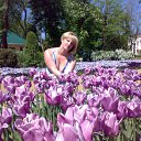 ���� ����, ���������, 50 ��� - ��������� 20 ��� 2012