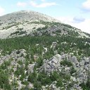 ���� ������� Cat's., �����, 43 ���� - ��������� 4 ������ 2009 � ������ ��� ������������� �������� ������� ������ ����� - �������