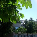 ���� ����, �������, 33 ���� - ��������� 12 ����� 2010 � ������ �������