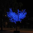 ���� ����, ����������, 50 ��� - ��������� 27 ������� 2010 � ������ ������������