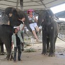 ���� �������, ����� - ��������� 21 ������ 2013 � ������ ���� ����������