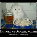 ���� ������, ������, 59 ��� - ��������� 17 ������� 2012 � ������ �������