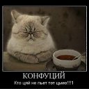 ���� ��������, ������ - ��������� 25 ����� 2012 � ������ ���������