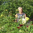 ���� ��������, ������, 72 ���� - ��������� 16 ������ 2012 � ������ ���� ����������