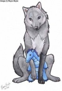 ���� Wolfa, ����, 24 ���� - ��������� 14 ����� 2013