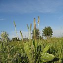 ���� �������!, �������������, 42 ���� - ��������� 20 ������� 2013 � ������ ���� ����������