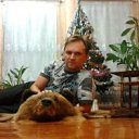  ,  , 49  -  20  2013    