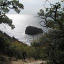 ���� ���, �����������, 55 ��� - ��������� 5 �������� 2012