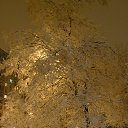  29.01,2013 21:00 - 21:30    