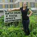 ���� �������, �������, 49 ��� - ��������� 26 ������� 2011 � ������ ������ 2010�