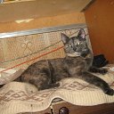 ���� ��������, ������, 58 ��� - ��������� 21 ������� 2012