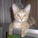 ���� �����, ������������, 50 ��� - ��������� 5 �������� 2010 � ������ �2010�