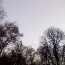 ���� Dark Snow, ������, 47 ��� - ��������� 4 ������� 2012 � ������ �����ܻ