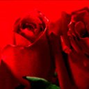 ���� �������, �������, 38 ��� - ��������� 24 ������� 2010 � ������ ���������