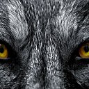 ���� �����, �����-�������� - ��������� 4 �������� 2012 � ������ �� ���� � ���� ������� ���.�