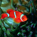 ���� ����� - ���������� ��������!!!, �����������, 56 ��� - ��������� 12 ������ 2010 � ������ ������