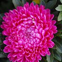 ���� �����, �������� - ��������� 24 ������� 2009 � ������ ��������