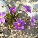 ���� ��������, ����, 66 ��� - ��������� 25 ��� 2012 � ������ �� �������