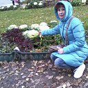 ���� ������, �������, 56 ��� - ��������� 1 ������ 2012 � ������ ���� ����������