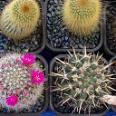 ���� ������, ������, 69 ��� - ��������� 5 ������ 2013 � ������ ���� ��������� ����������