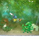 ���� ����, ������ - ��������� 22 ������� 2012 � ������ ���� ��������� �� ���������� �����!!!�