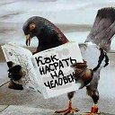  , , 60  -  24  2012   . :))