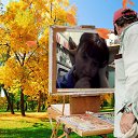 ���� �����, ������������, 59 ��� - ��������� 19 ������� 2012 � ������ ���� ����������