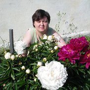 , 43 , 