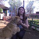 ���� ����, �����-���������, 36 ��� - ��������� 3 ������� 2012