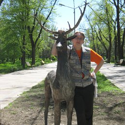 ���� ������, ������, 44 ���� - ��������� 22 ��� 2010