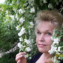 ���� ����, �������, 62 ���� - ��������� 14 ���� 2012 � ������ ������ 2012�