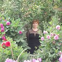 ���� �����, ������������ - ��������� 12 �������� 2011