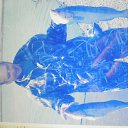 ���� �����, ������-��-����, 54 ���� - ��������� 11 ��� 2012 � ������ ���� ����������